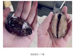 -亚龙湾海底世界