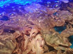 -SEA西雅图海鲜自助餐厅(海乐世界店)