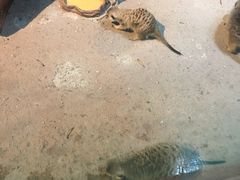 -苏州海洋馆