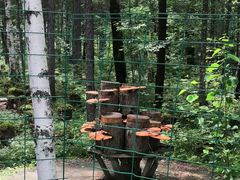 -峡谷浮石林景区