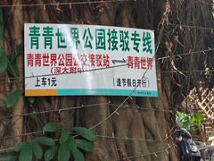 -青青世界