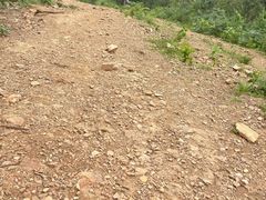 -青龙山国家森林公园