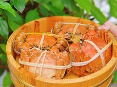 -乡乐园蟹庄·阳澄湖农家乐