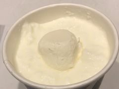 -西琳姑娘·新疆冰淇淋酸奶茶(南开大悦城店)