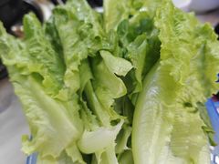 -牛排王糟粕醋火锅(海甸分店)