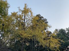 -南宋胡记(杭州灵隐寺店)