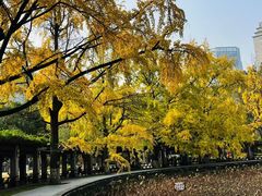 -四川大学(华西校区)