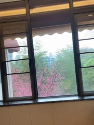 点击看大图 -金芙美月子中心(财富别墅店)