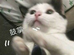 -厝内小眷村(新北万达店)