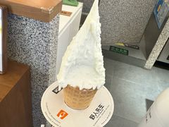 -野人先生Gelato(上海长宁龙之梦店)