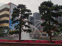 -盛兴中英文学校