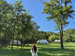 -爪吧宠物乐园 (温榆河示范区店)