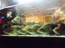 -茉莉花国际酒店·宴会厅