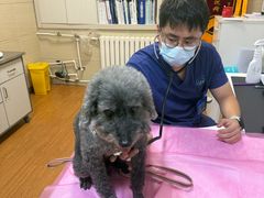 -北京观赏动物医院·24小时大型综合·猫专科·异宠专科