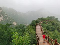 -大岭沟猕猴桃谷风景区