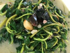 -洞背山庄(洞背院区式管理小区店)