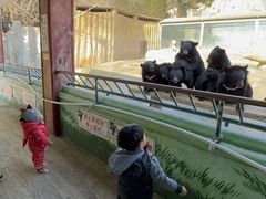 -东方熊牧场