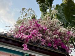 -深圳国际园林花卉博览园