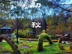 -沈阳植物园