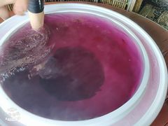 -春晖园度假酒店温泉