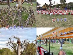 -长洲岛都市农业公园