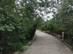 -南翠屏公园
