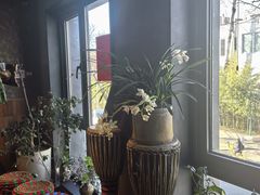 -一坐一忘云南菜(三里屯店)
