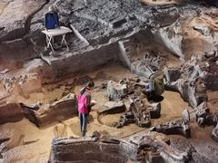 -自贡恐龙博物馆