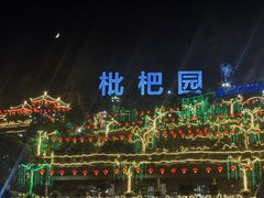 -枇杷园食为鲜火锅(南山店)