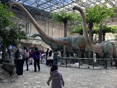 -国家自然博物馆