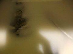 -小厨娘淮扬菜(六合欢乐港店)