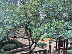 -东莞市可园博物馆