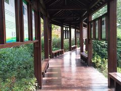 -昆山城市生态森林公园