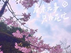 -南山植物园
