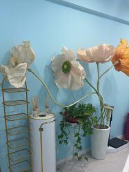 -斐尔国际皮肤管理中心