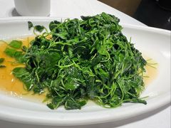 -天福苑(崇宁路店)