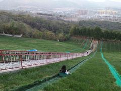 -原山国家森林公园