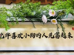 -星多哈·狗咖·拼豆·咖啡