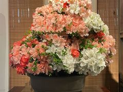 -双季花艺园艺市场(浦东店)