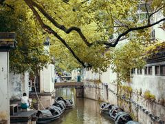 -绍兴鲁迅故里·沈园景区