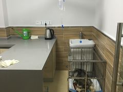 -爱侣宠医·鹦鹉专科·小型哺乳类·异宠专科(灵石路店)