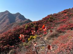 -水峪民俗村