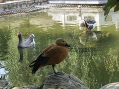 -北京市海淀外国语实验学校