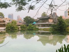 -荔湾湖公园