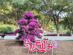 -广州市白云山风景名胜区