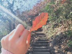 -杭州半山国家森林公园