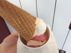 薄荷玫瑰盐-歎雪糕低糖低脂Gelato冰淇淋