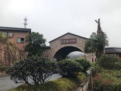 -千岛湖石林