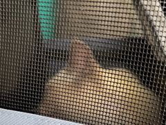 -乐琪宠物医院·犬猫专科·骨外科·急重症