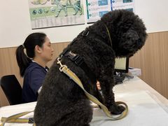 -申普宠物医院·眼科·心内科·影像科(普陀分院)